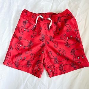 Hanna Andersson Swim Trunks (Set of 2)